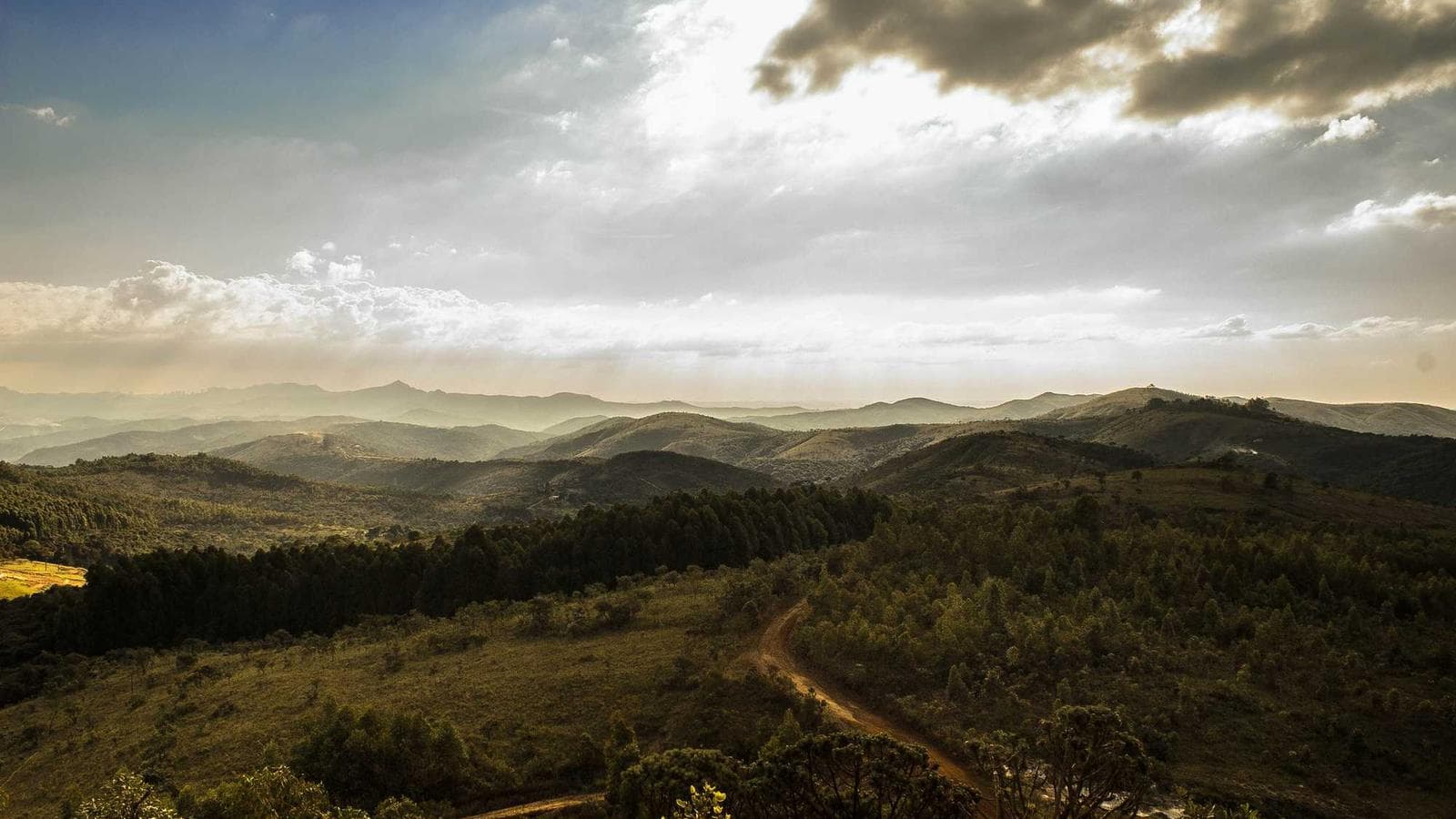 A team working on home improvement